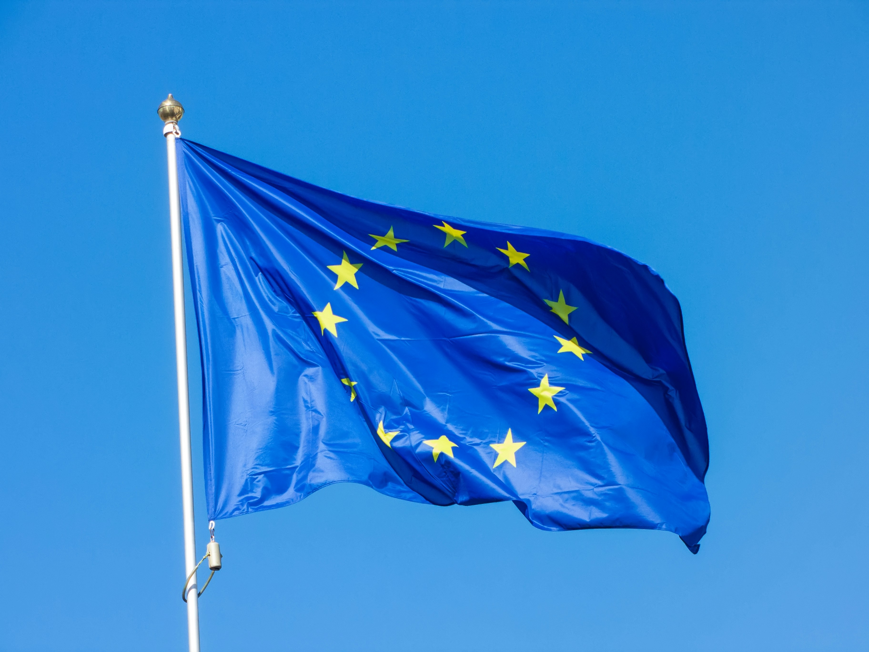 Made in the EU