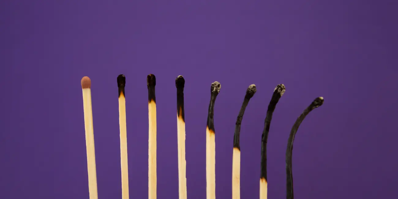 beating-burnout-ginseng-panax-as-a-natural-energy-and-stress-support-