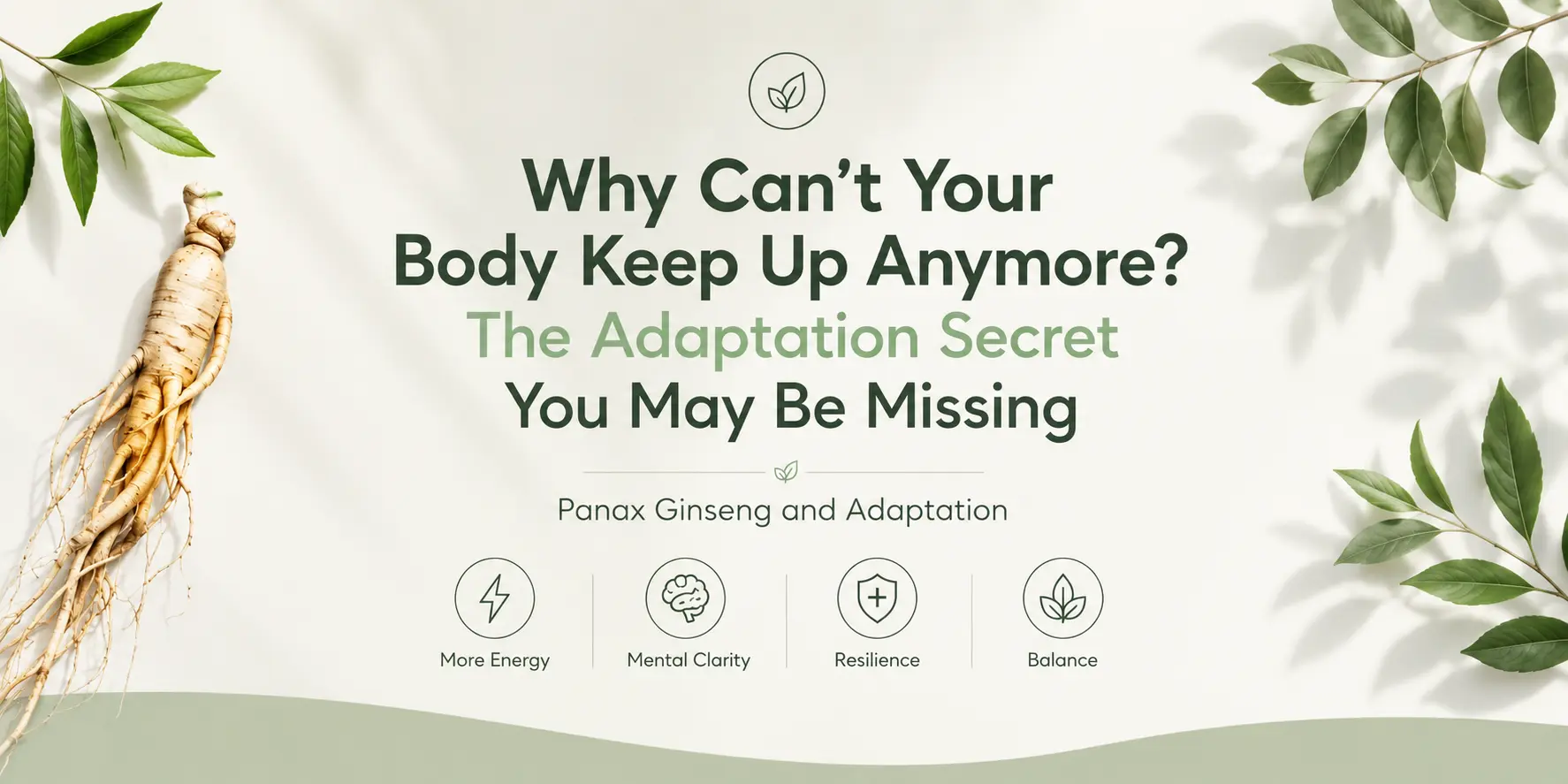 why-cant-your-body-keep-up-anymore-the-adaptation-secret-you-may-be-missing-