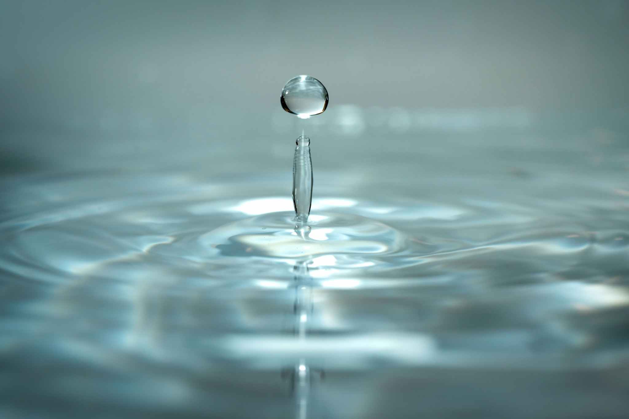 Hyadisine® Marine Ingredient