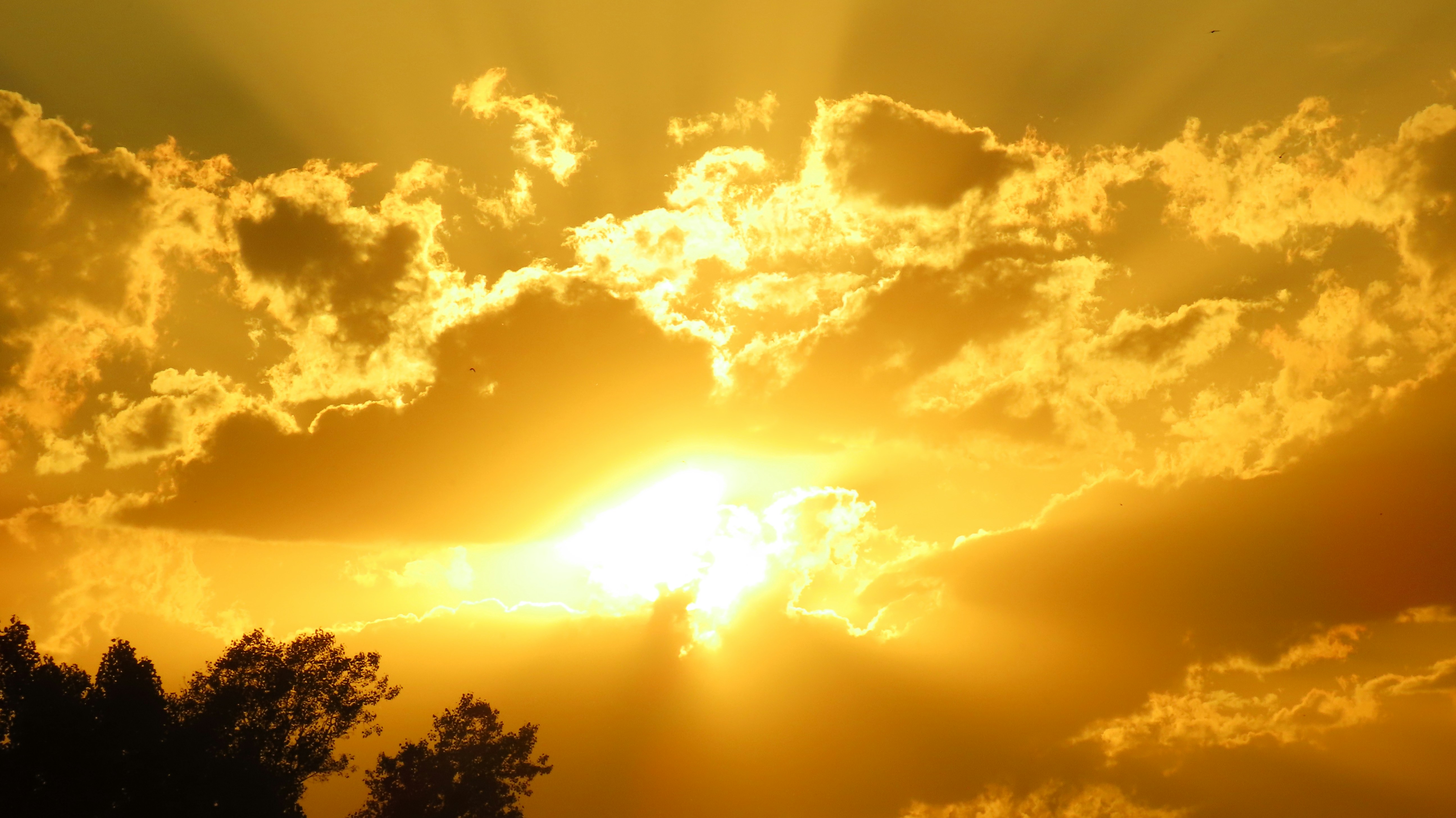 Vitamin D3