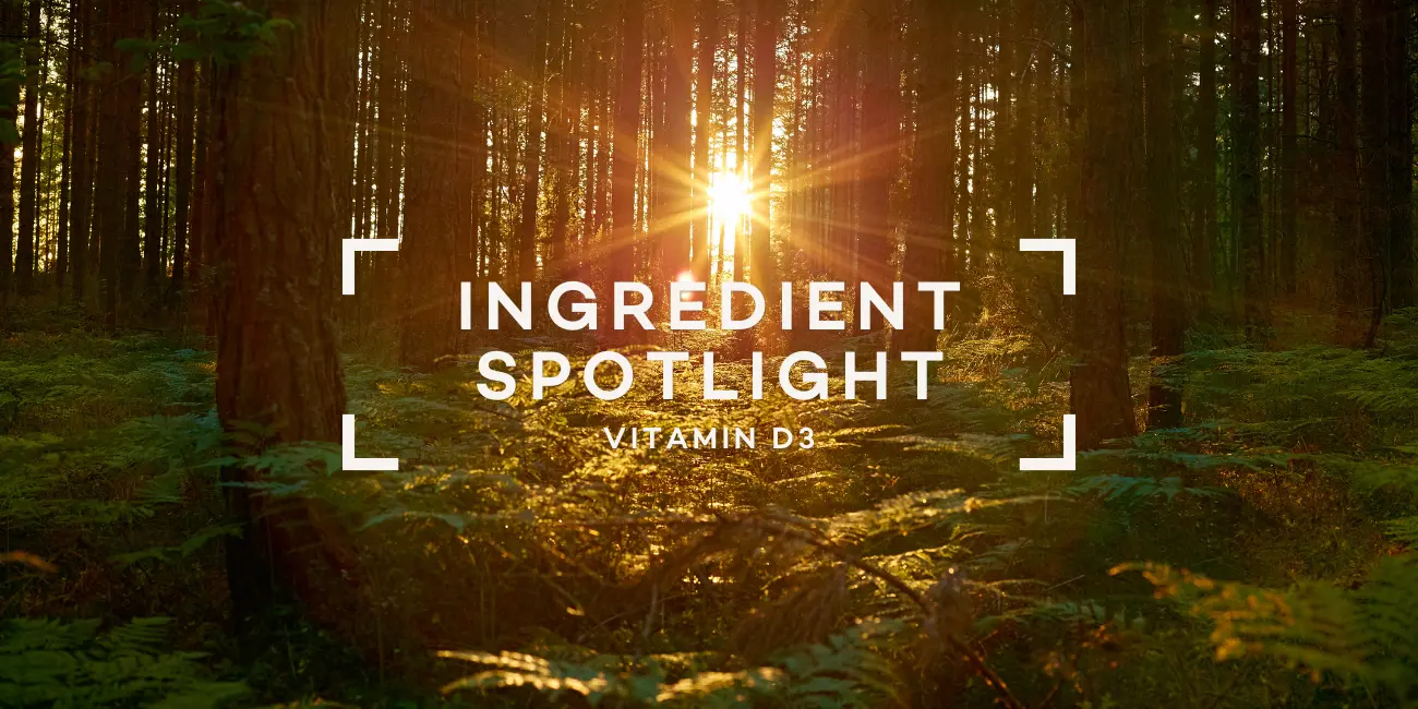 vitamin-d3-the-sunshine-vitamins-role-in-immunity-and-bone-health-