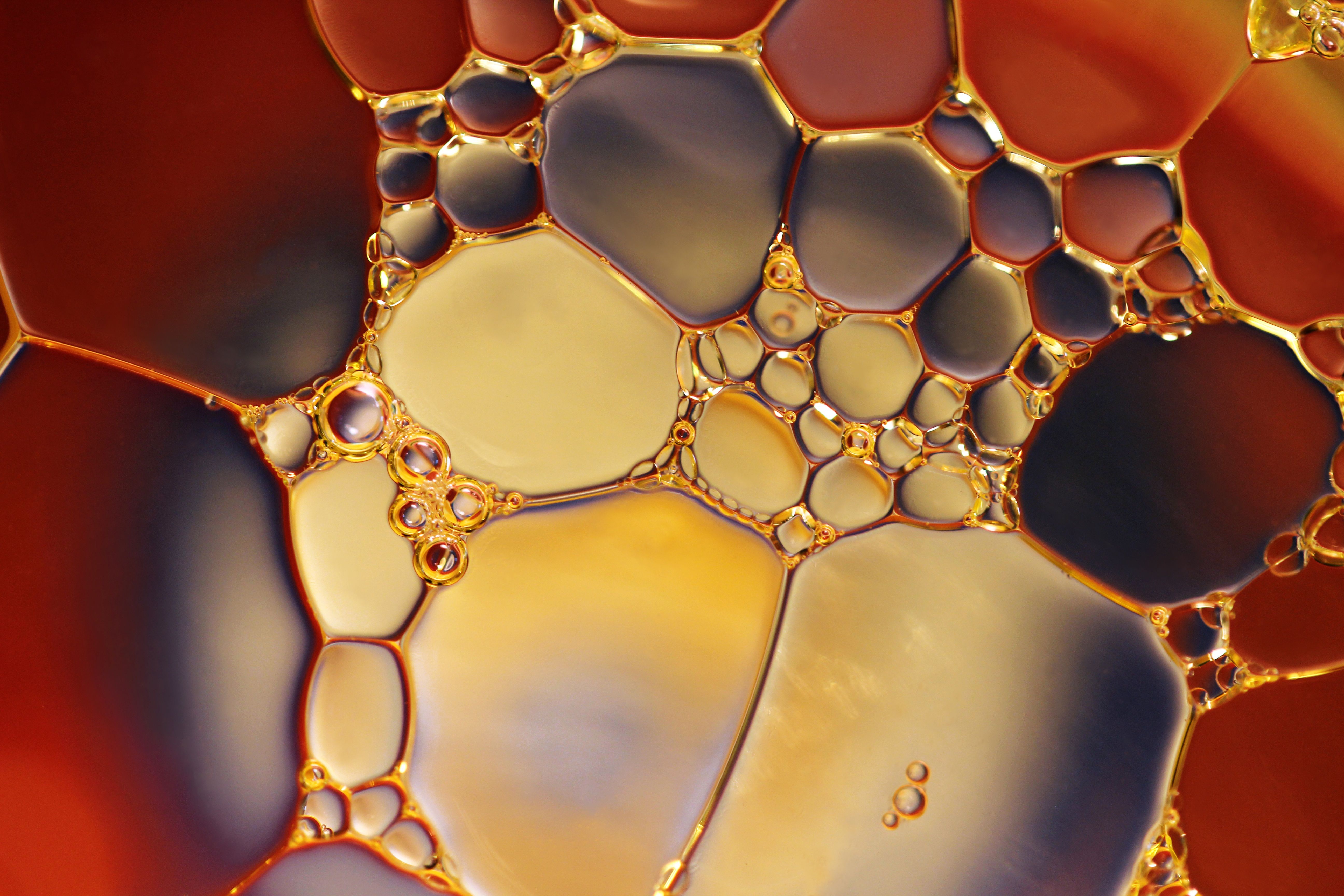 Oil-based liquid formula