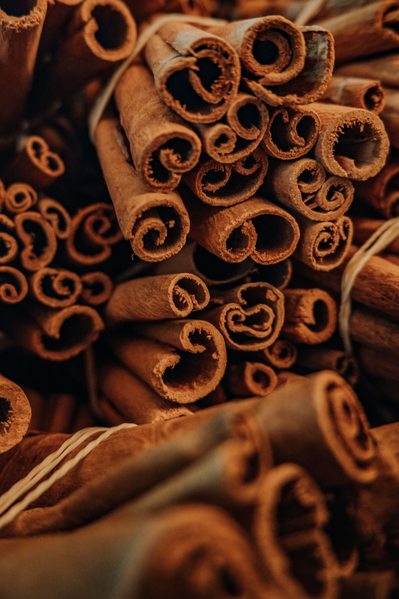 Warm cinnamon character