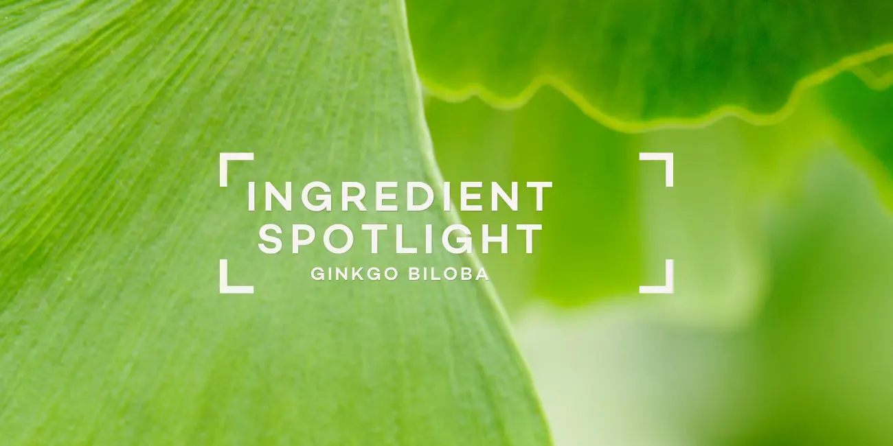 ginkgo-biloba-ingredient-spotlight