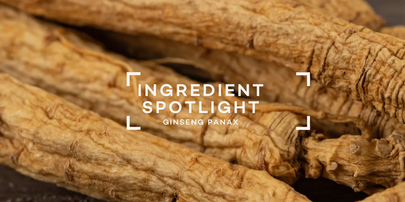 ginseng-panax-ingredient-spotlight