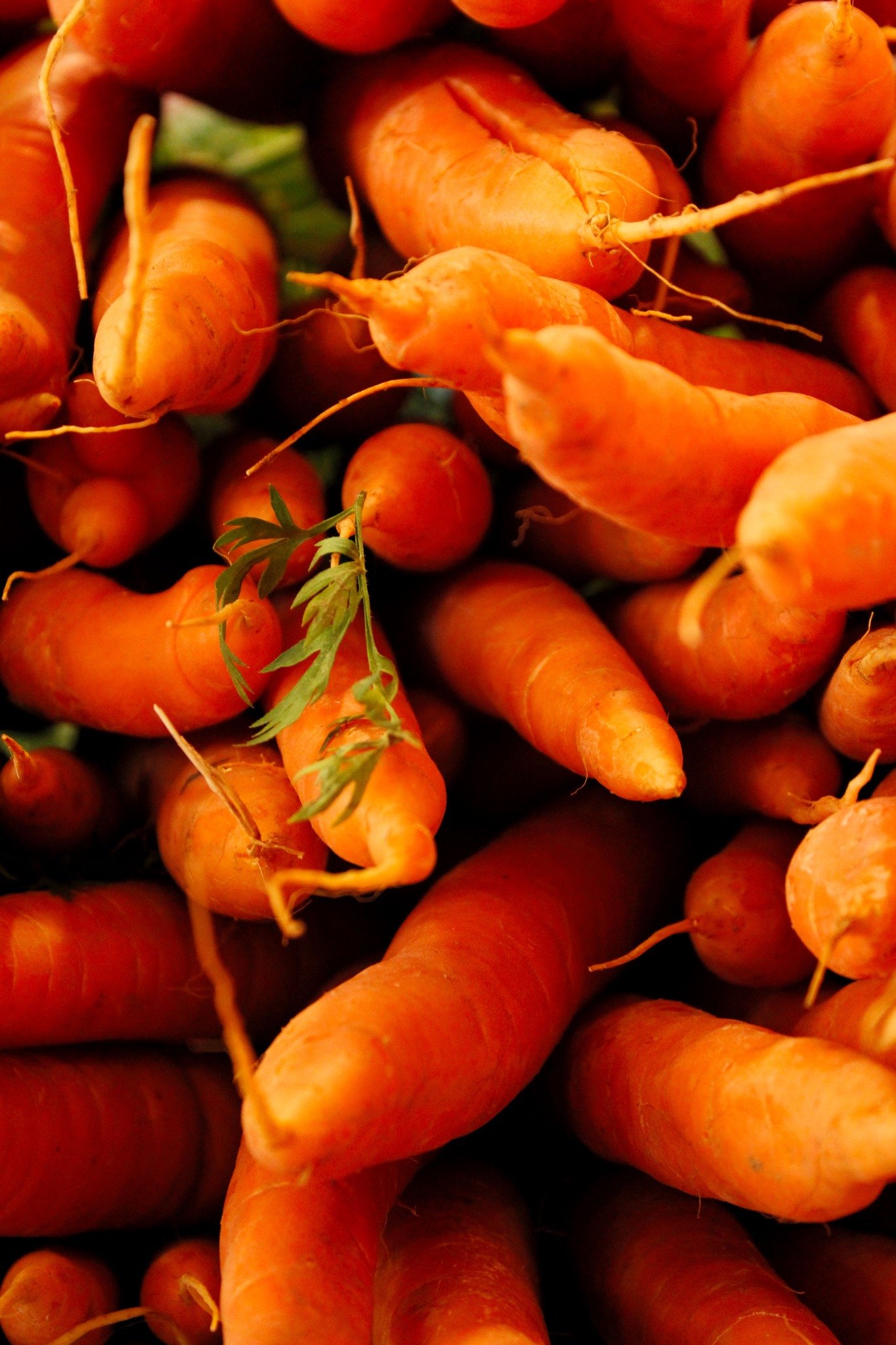 Vitamin A & Beta-Carotene
