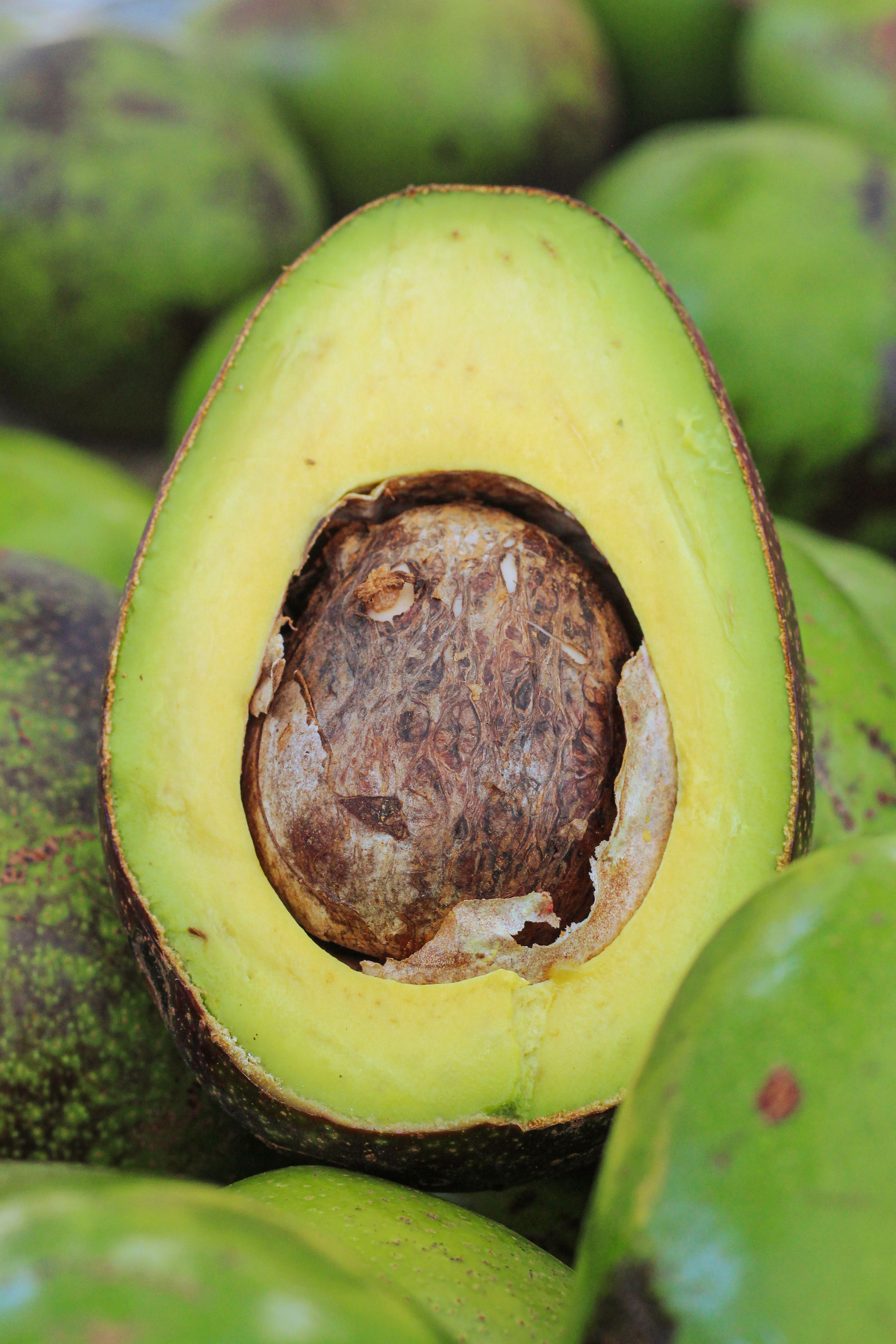 Cold-Pressed Avocado Oil
